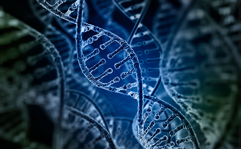 tcbiovn.com